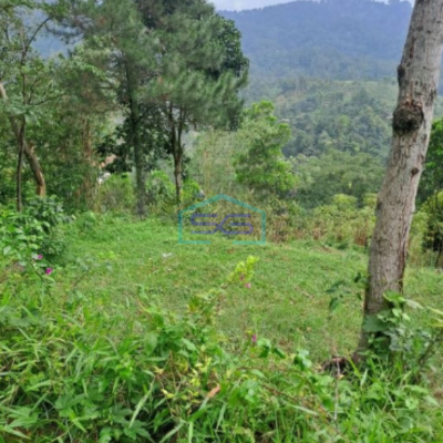 Dijual Tanah di Desa Karang Tengah Sentul City Bogor Luas Tanah 20000m2