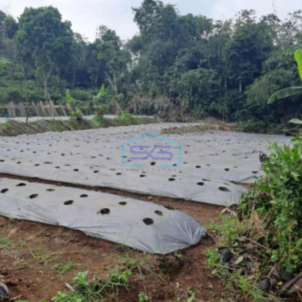 Dijual Tanah Jalan Terobosan Puncak Bogor Luas Tanah 2000m2-1