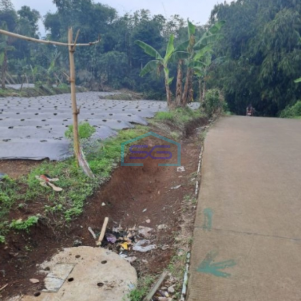 Dijual Tanah Jalan Terobosan Puncak Bogor Luas Tanah 2000m2-2