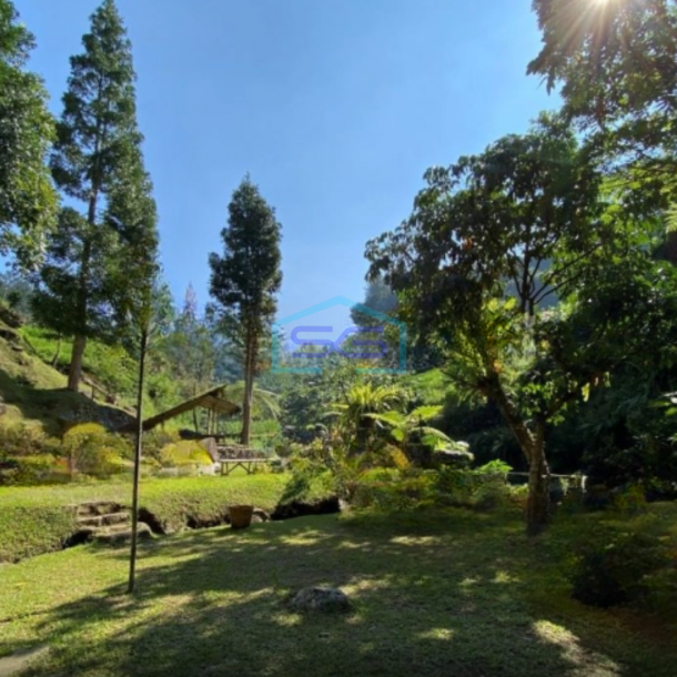 Dijual Tanah Cidahu Sukabumi Luas Tanah 24000m2-3