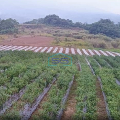 Dijual Tanah Desa Cisaat Cicurug Sukabumi Luas Tanah 40000m2