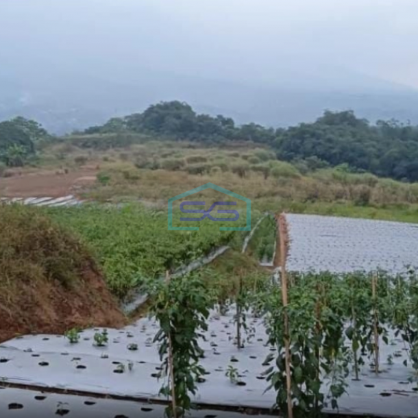 Dijual Tanah Desa Cisaat Cicurug Sukabumi Luas Tanah 40000m2-2