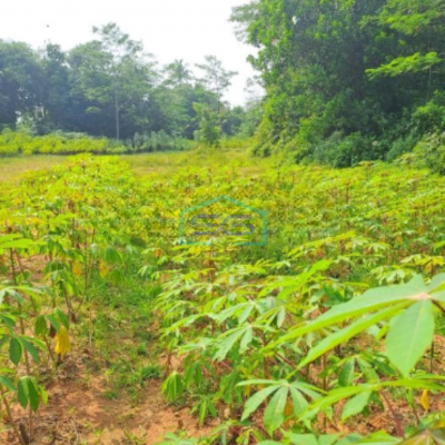 Dijual Tanah Di Tamansari Rumpin Bogor Luas Tanah 2650m2