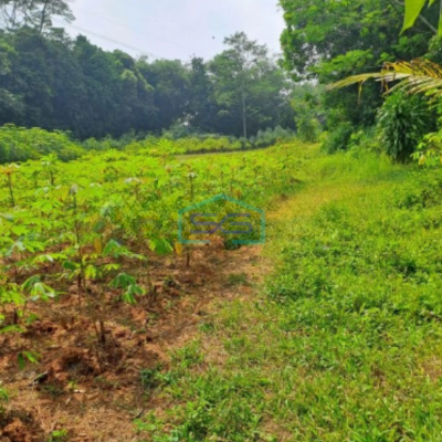 Dijual Tanah Di Tamansari Rumpin Bogor Luas Tanah 2650m2