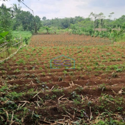 Dijual Tanah Di Ciseeng Bogor Luas Tanah 1000m2