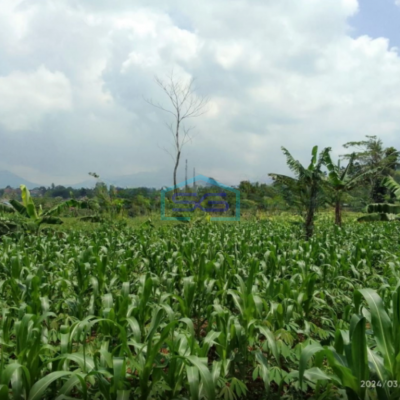 Dijual Tanah Dekat Pintu Tol Bocini Desa Ciambar Sukabumi Luas Tanah 40000m2
