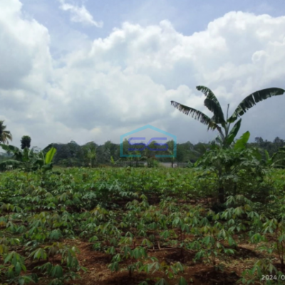Dijual Tanah Dekat Pintu Tol Bocini Desa Ciambar Sukabumi Luas Tanah 40000m2