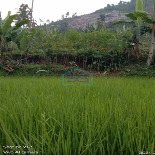 Dijual Tanah Darat di Cidahu Sukabumi Luas 9000m2-4