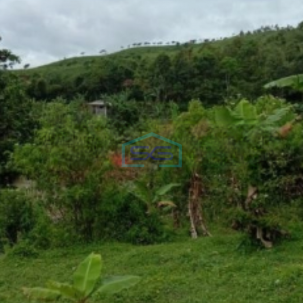 Dijual Tanah Darat di Cidahu Sukabumi Luas 9000m2-3