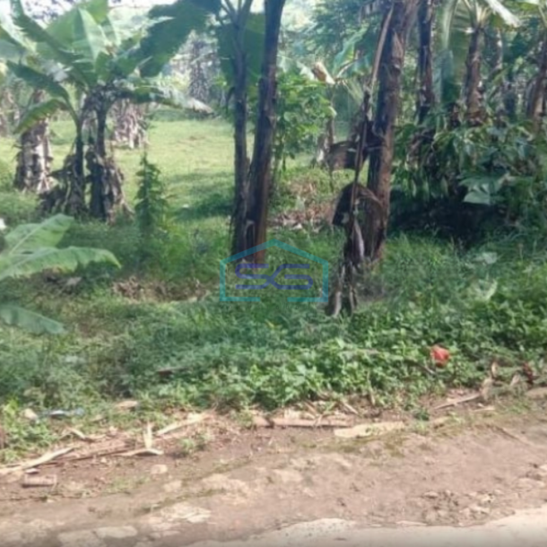 Dijual Tanah Darat di Cidahu Sukabumi Luas 9000m2-2