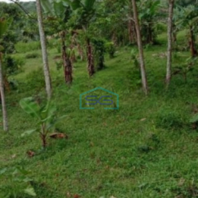 Dijual Tanah Darat di Cidahu Sukabumi Luas 9000m2