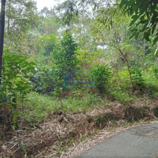 Dijual Tanah Di Karyasari Leuwiliang Bogor Luas Tanah 5500m2-2