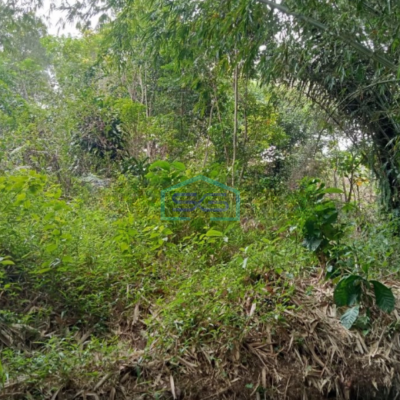 Dijual Tanah Di Karyasari Leuwiliang Bogor Luas Tanah 5500m2