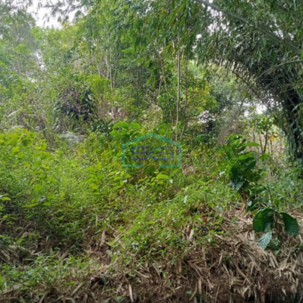 Dijual Tanah Di Karyasari Leuwiliang Bogor Luas Tanah 5500m2-1