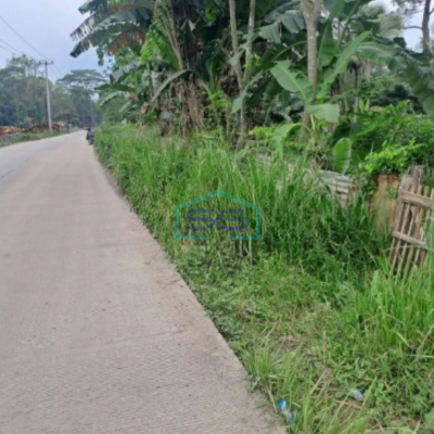 Dijual Tanah Jalan Parung Panjang Rumpin Bogor Luas Tanah 15000m2