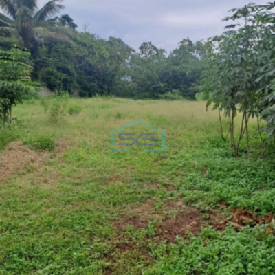 Dijual Tanah Jalan Parung Panjang Rumpin Bogor Luas Tanah 15000m2