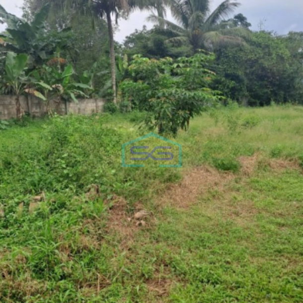 Dijual Tanah Jalan Parung Panjang Rumpin Bogor Luas Tanah 15000m2-2