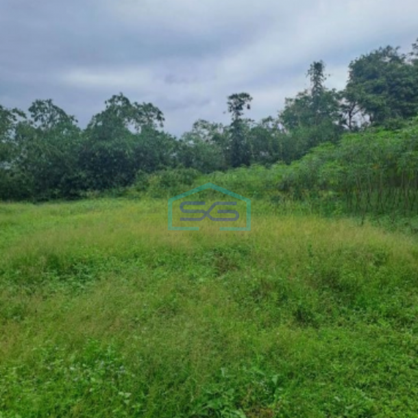 Dijual Tanah Jalan Parung Panjang Rumpin Bogor Luas Tanah 15000m2-1