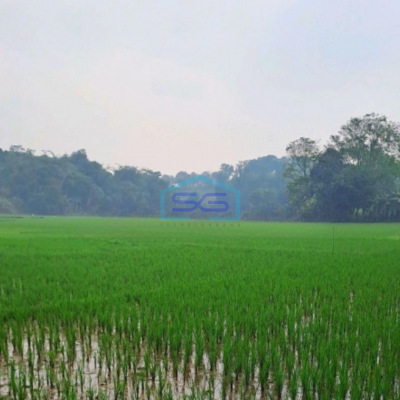 Dijual Tanah di Sukasari Rumpin Bogor Luas Tanah 1700m2