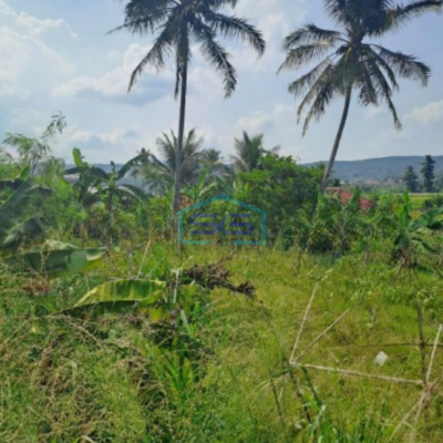 Dijual Tanah di Desa Kalong Liud Nanggung Bogor Luas 50000m2