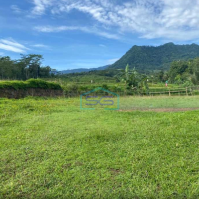 Dijual Tanah Lokasi di Jalan Raya Sukamamur Bogor LT 37000m2