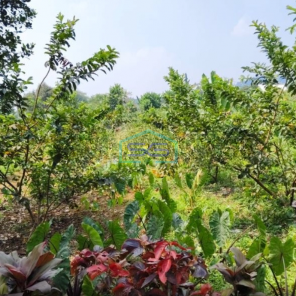 Dijual Tanah di Ciapus Taman Sari Bogor Luas Tanah 100000m2-3