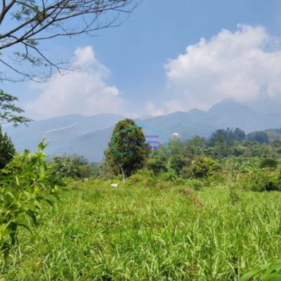 Dijual Tanah di Ciapus Taman Sari Bogor Luas Tanah 100000m2