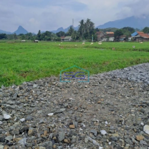 Dijual Tanah di Daerah Cariu Tanjungsari Bogor Timur LT 15000m2-4