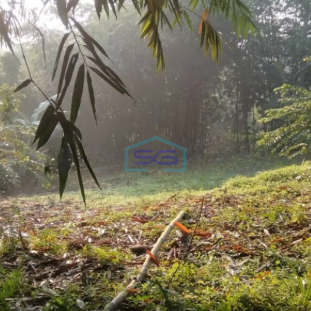 Dijual Tanah Di Mekarsari Rumpin Bogor Dengan Luas Tanah 2082m2-1