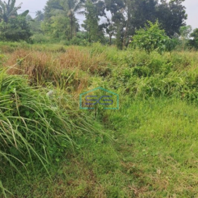 Dijual Tanah Jalan Raya Rumpin Bogor Luas Tanah 100000m2