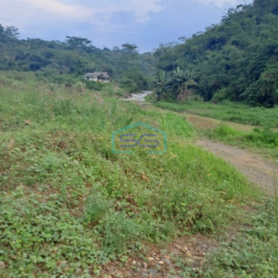 Dijual Tanah Di Rumpin Bogor Luas Tanah 200000m2