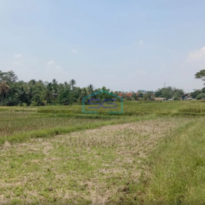 Dijual Tanah di Pinggir Jalan Raya Cibeber Leuwiliang Bogor LT 50000m2