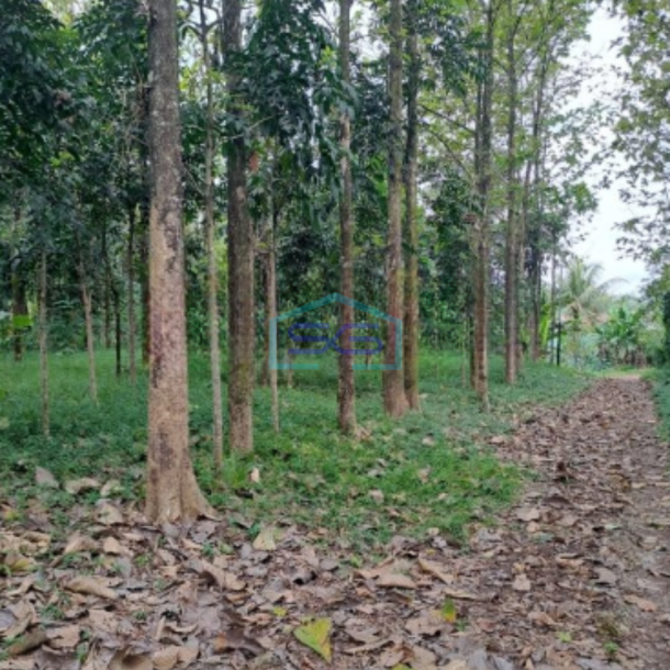 Dijual Tanah Di Kemang Bogor Luas Tanah 10000m2-1