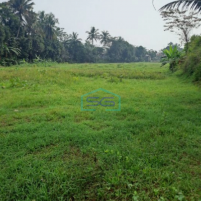 Dijual Tanah Lokasi di Ciseeng Bogor Luas Tanah 11000m2