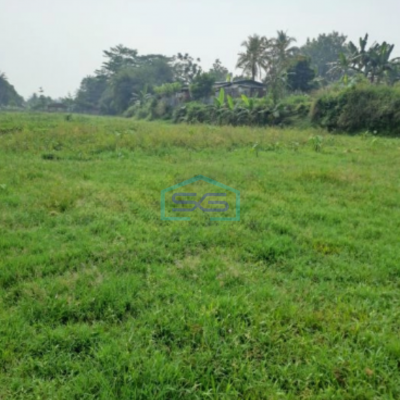 Dijual Tanah Lokasi di Ciseeng Bogor Luas Tanah 11000m2