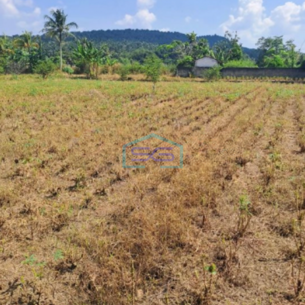 Dijual Tanah Lokasi Di Pinggiran Kota Kemang Bogor LT 120000m2-2