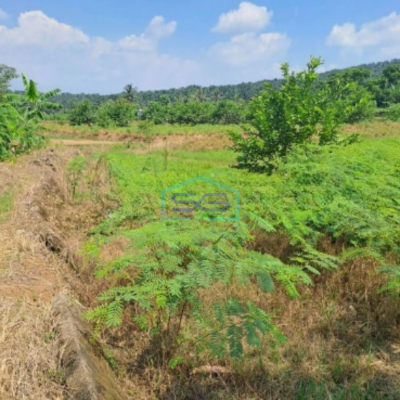 Dijual Tanah Lokasi Di Pinggiran Kota Kemang Bogor LT 120000m2