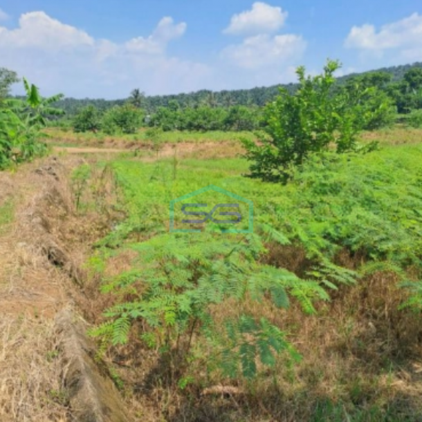 Dijual Tanah Lokasi Di Pinggiran Kota Kemang Bogor LT 120000m2-1