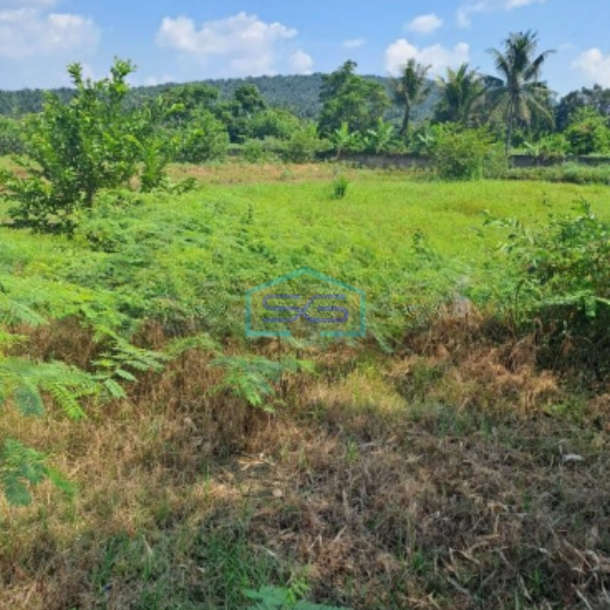 Dijual Tanah Lokasi Di Pinggiran Kota Kemang Bogor LT 120000m2-3