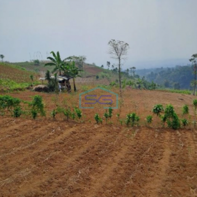 Dijual Tanah Siap Bangun Di Pancawati Caringin Bogor Luas Tanah 2000m2