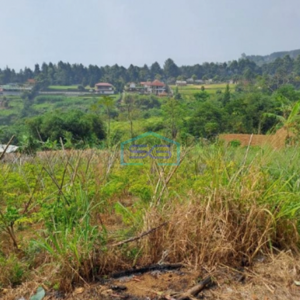 Dijual Tanah Siap Bangun Di Pancawati Caringin Bogor Luas Tanah 2000m2-2