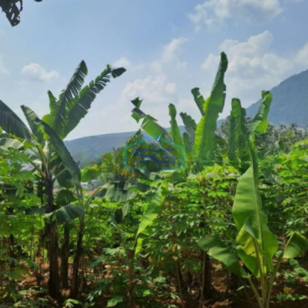 Dijual Tanah di Bojong Gaok di Desa Bojongkoneng Bogor-2