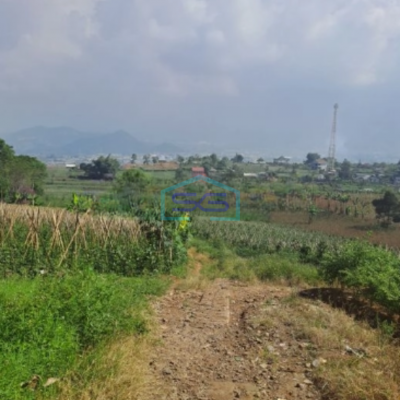 Dijual Tanah Lahan Bagus Sukaresmi Cianjur Luas Tanah 220000m2