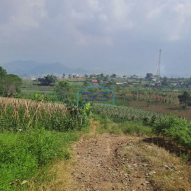 Dijual Tanah Lahan Bagus Sukaresmi Cianjur Luas Tanah 220000m2-1