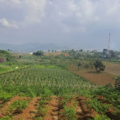 Dijual Tanah Lahan Bagus Sukaresmi Cianjur Luas Tanah 220000m2