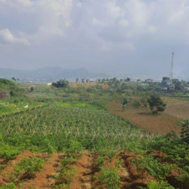 Dijual Tanah Lahan Bagus Sukaresmi Cianjur Luas Tanah 220000m2-2