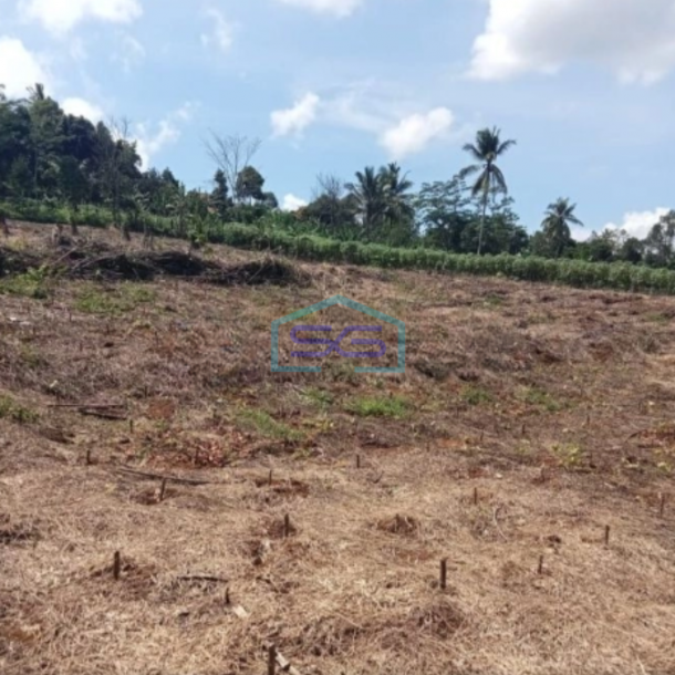 Dijual Tanah Bagus Datar Cikembar Sukabumi Luas Tanah 24000m2-3