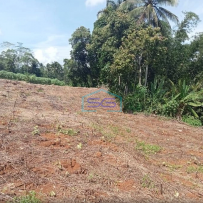 Dijual Tanah Bagus Datar Cikembar Sukabumi Luas Tanah 24000m2