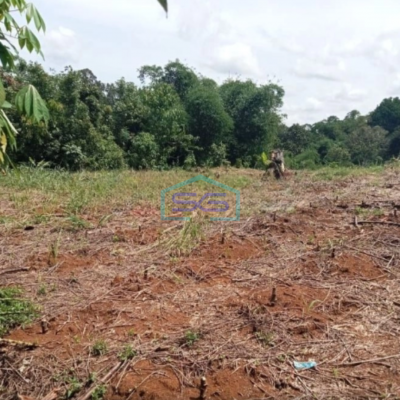 Dijual Tanah Bagus Datar Cikembar Sukabumi Luas Tanah 24000m2