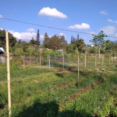 Dijual Tanah Letak Strategis di Pacet Cianjur Luas Tanah 4996m2